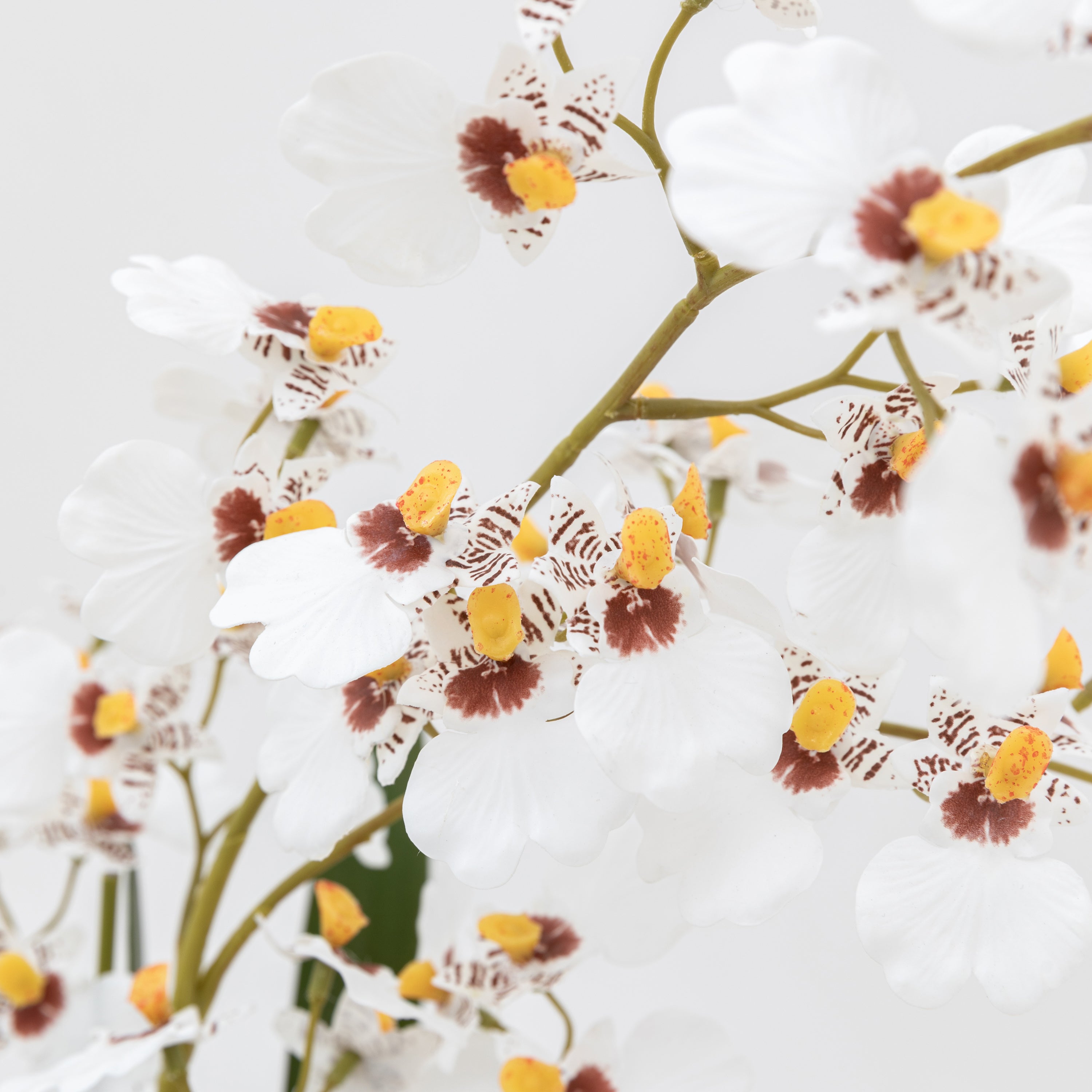 Artificial White Orchid in Low Ceramic Pot | Large